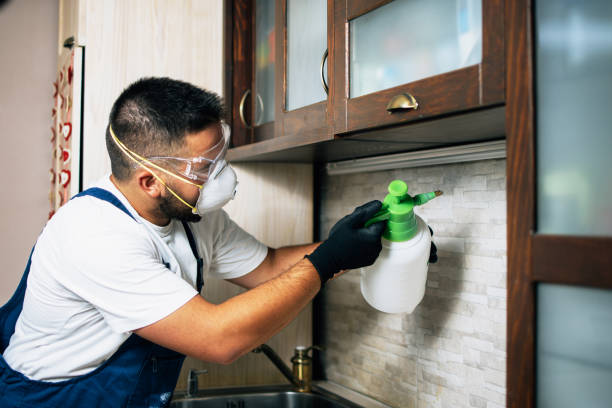 Pest Prevention Services in Benavides, TX