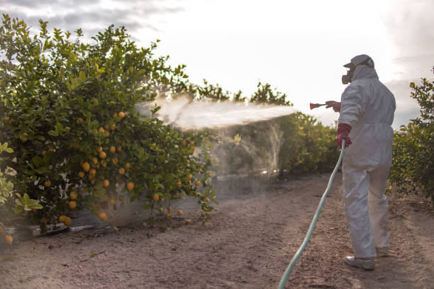 Best Bird Control  in Benavides, TX