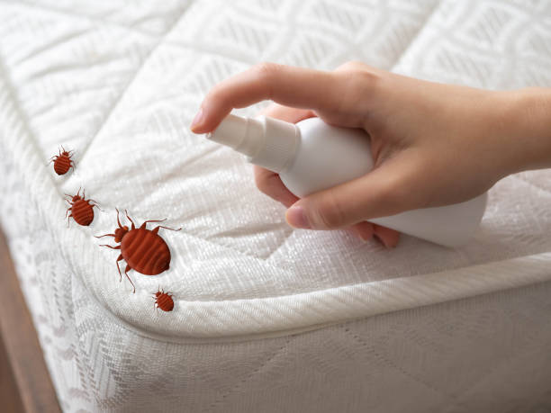 Best Best Pest Control Companies  in Benavides, TX